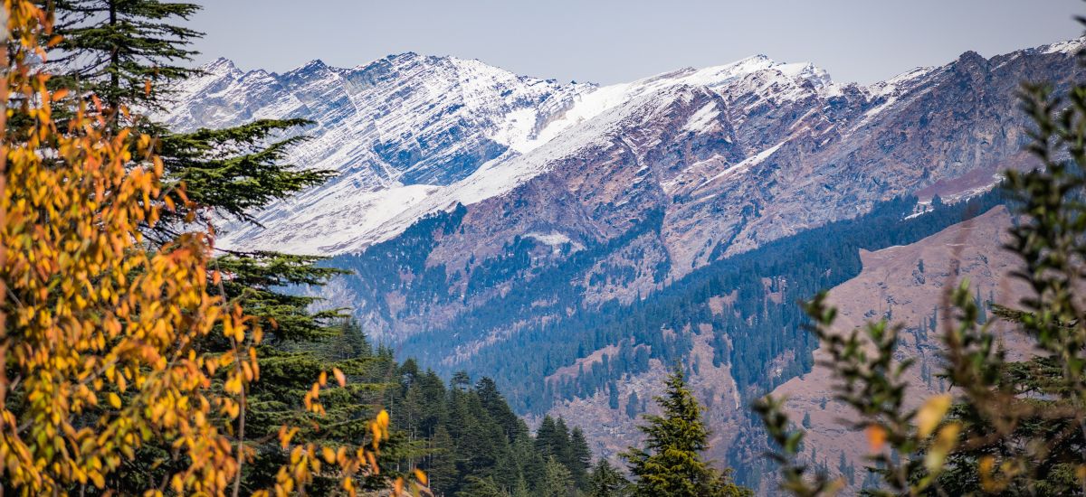 Restaurantes con vistas en la Sierra de Madrid