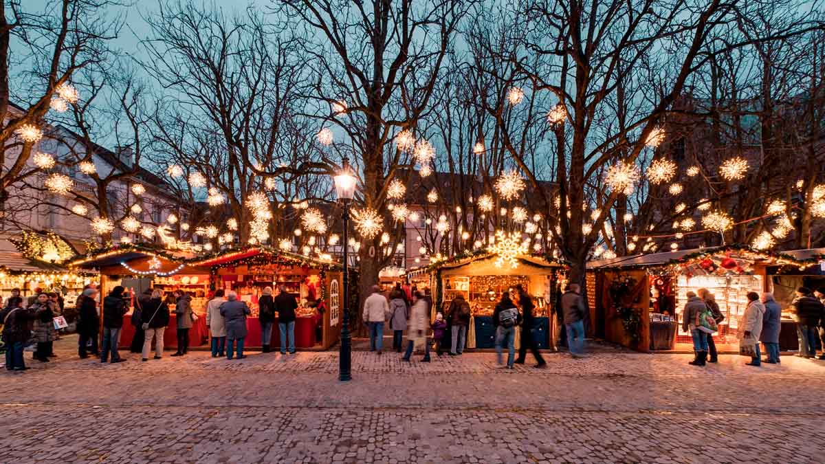 🎄 Navacerrada en Navidad: luces, tren mágico y el plan perfecto con comida en Panorámico